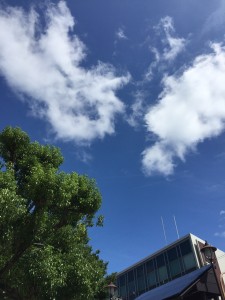 赤穂ハーフマラソン大会に参加します。