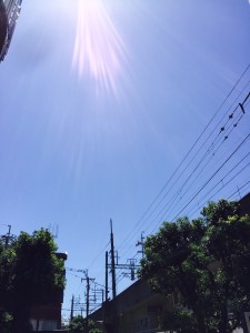 眼鏡は掛けたら楽になるモノ。