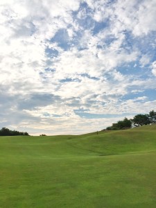 穴掘りデート。