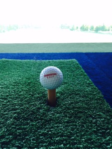 そんなタイプです。