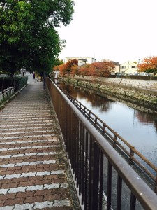 お散歩コース。