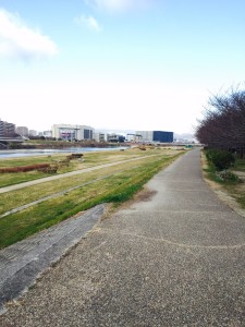 コレまた違和感あり。