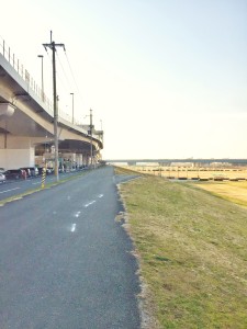 河川敷はホントにイイ。