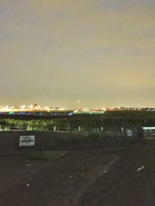 ビビりな人間です。