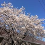 昨年の今頃は。