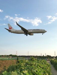 ドライアイかもしれません。