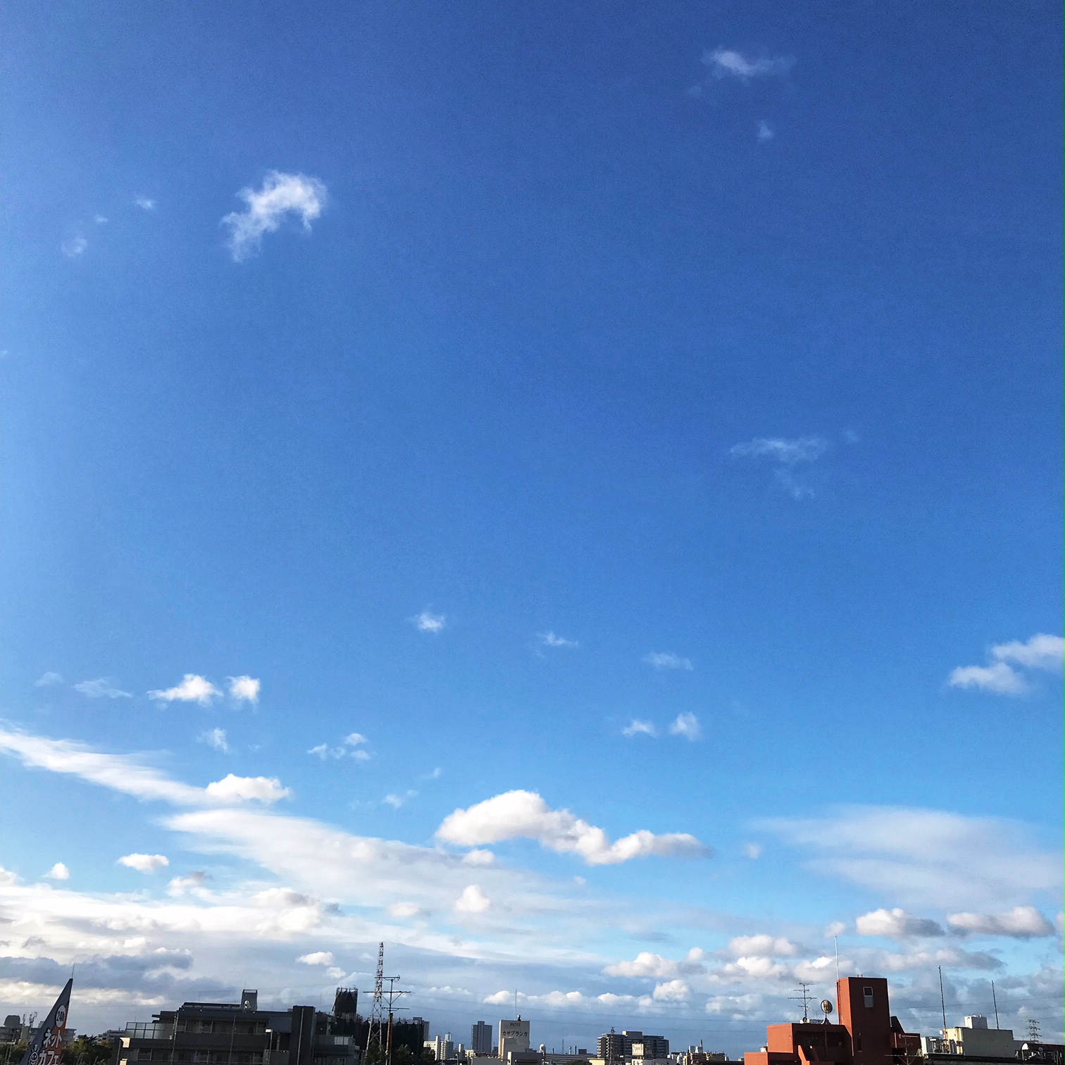 風が吹き荒れる！？