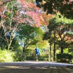 懐かしの通学路を走る。