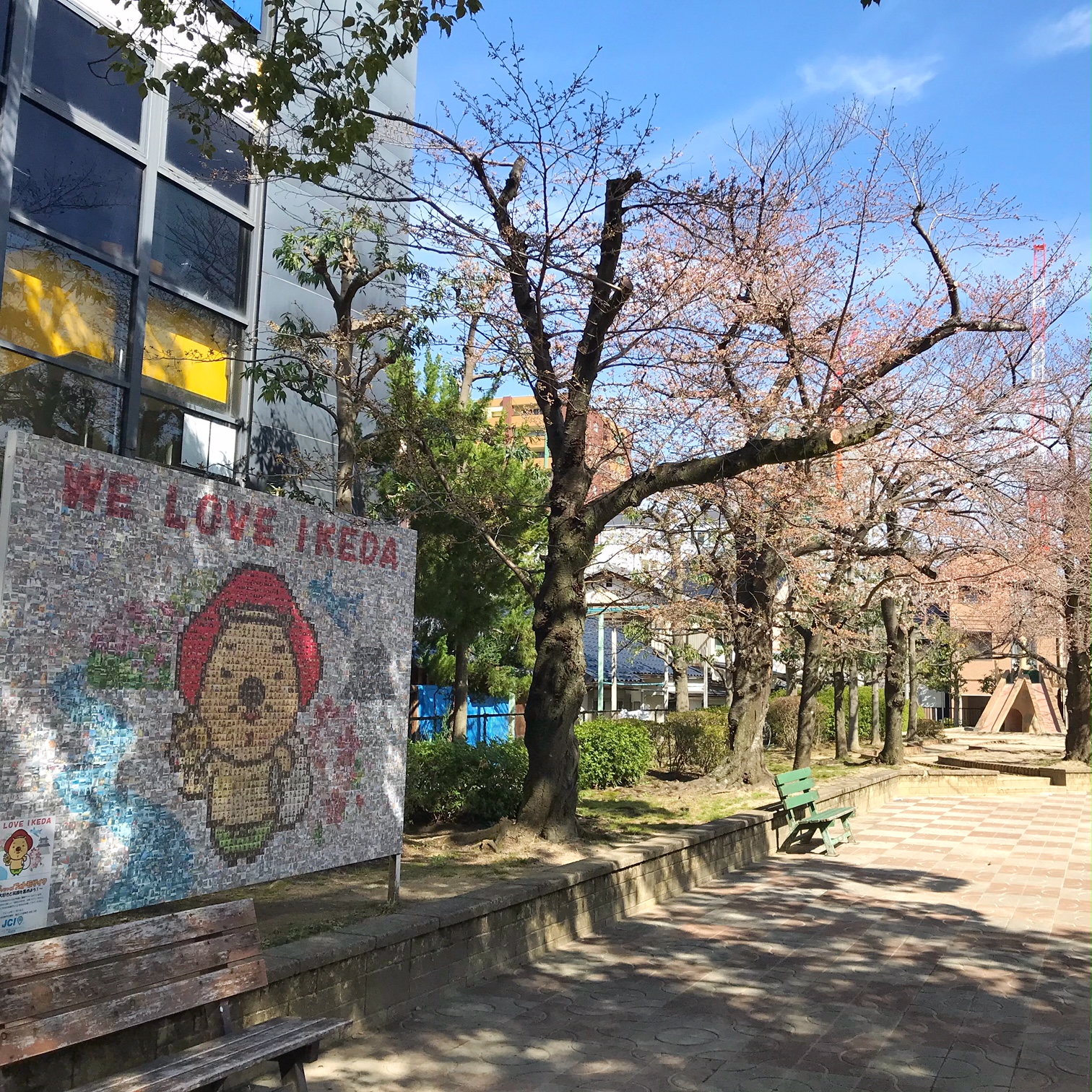 池田駅前公園の桜がそろそろ咲き始めます。