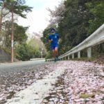 五月山の桜もそろそろ散り始めてますね。