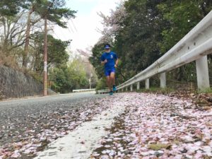 五月山の桜もそろそろ散り始めてますね。