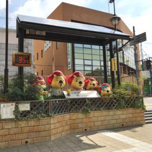 池田市No.1の日当たりの良い家！？