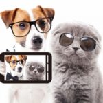 紫外線を浴びるとサングラスに変化する超絶便利なメガネがあるらしい。